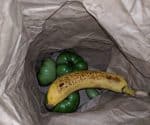 green tomatoes apple and banana in sack