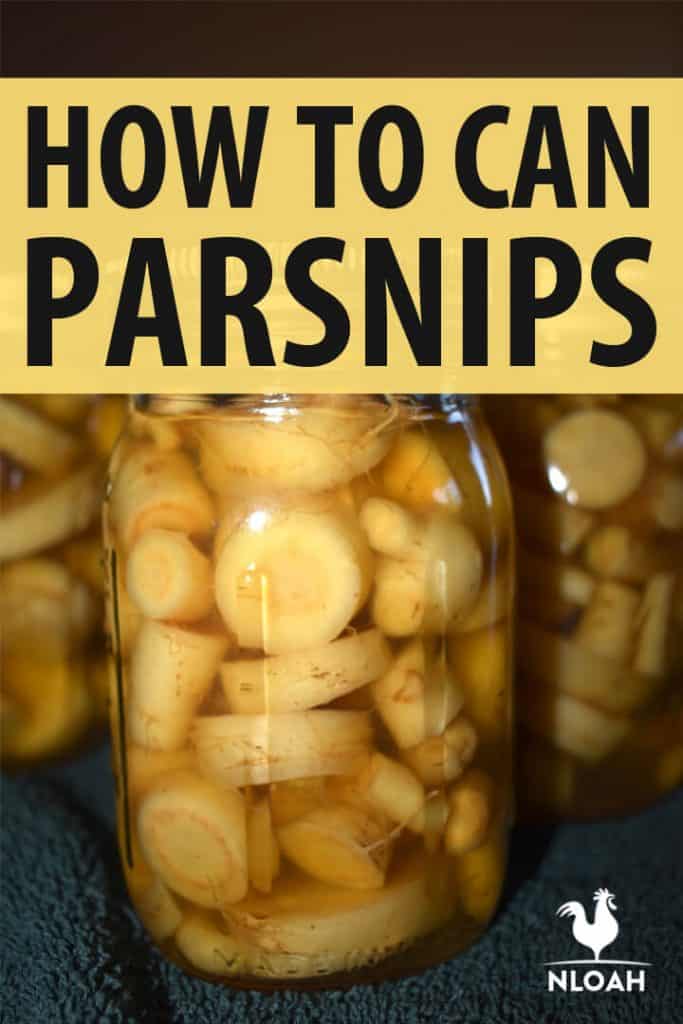 how to can parsnips Pinterest image