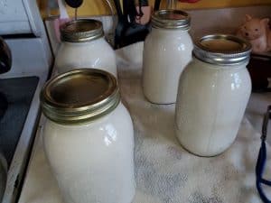 canned milk cooling