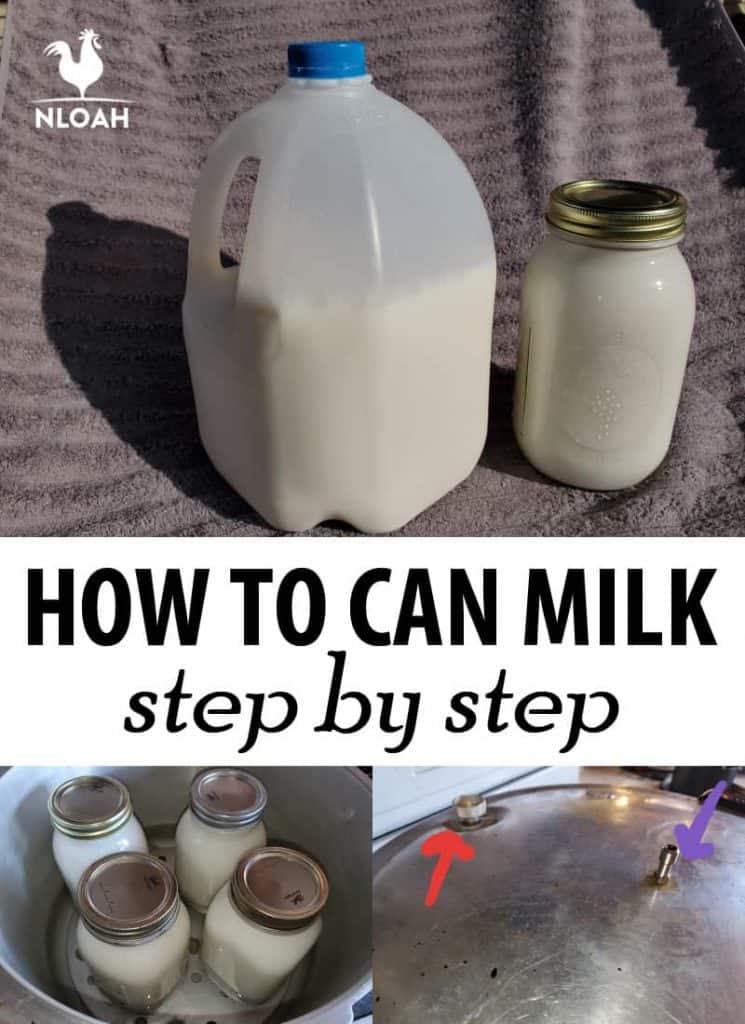 canning milk Pinterest image