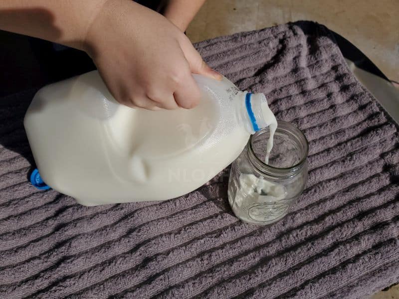 pouring milk into jars