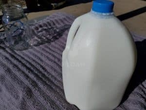 warming milk to room temperature