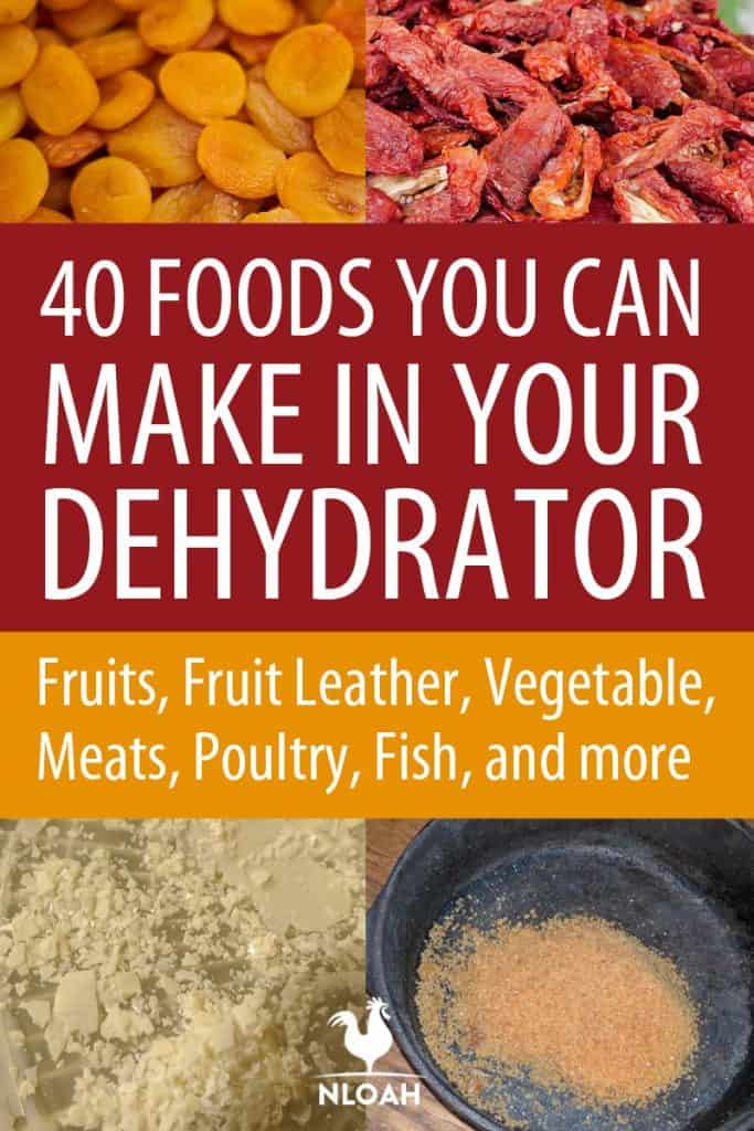 dehydrated foods pinterest