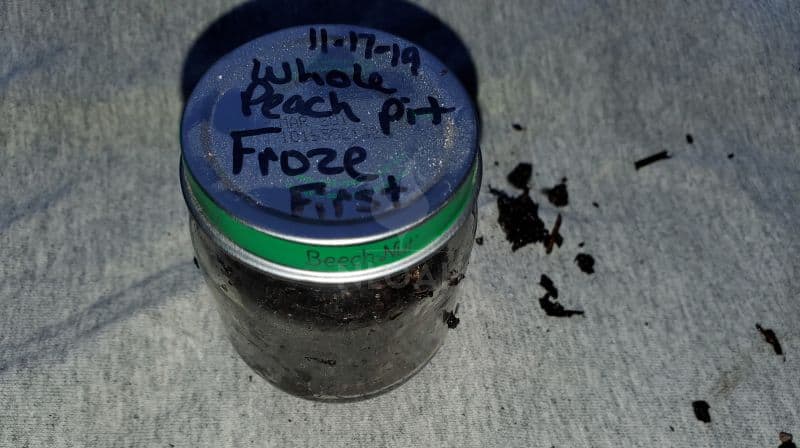 frozen pit soil test