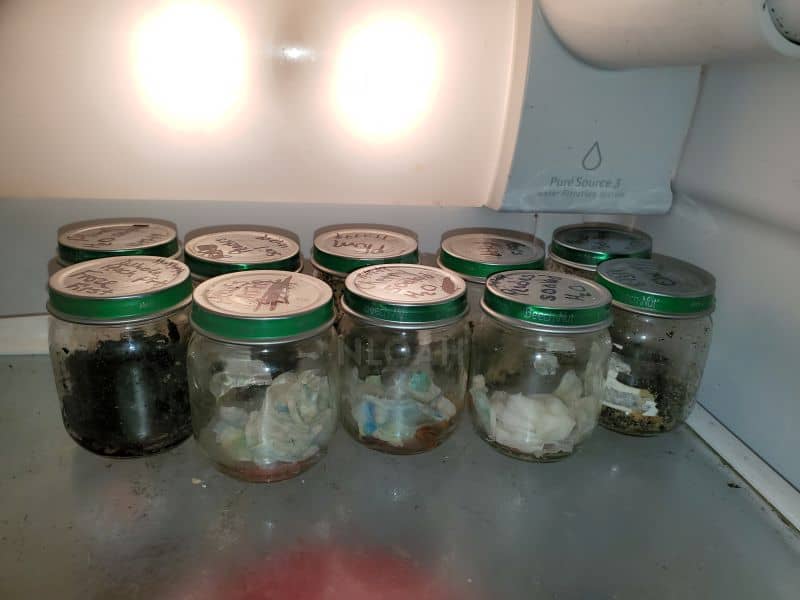 jars with seeds in the fridge