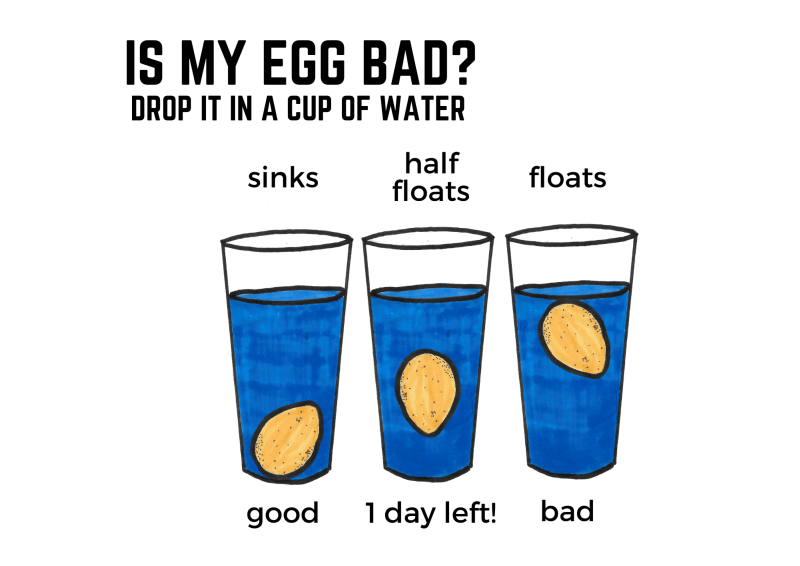 egg float test diagram