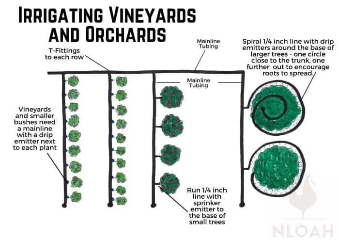 Irrigating Vineyards and Orchards