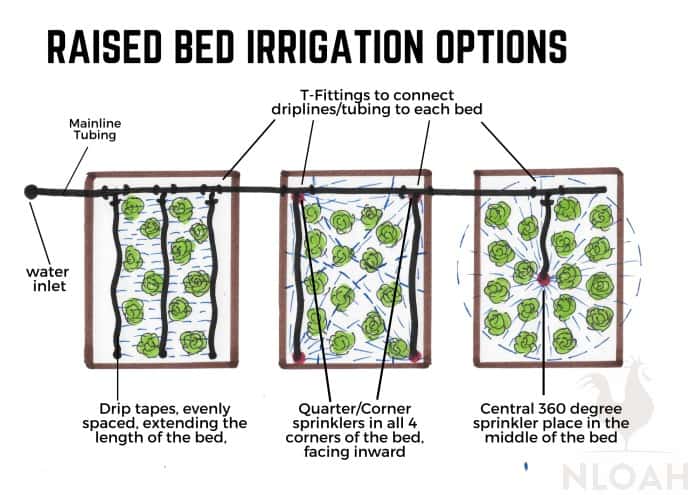 raised bed irrigation