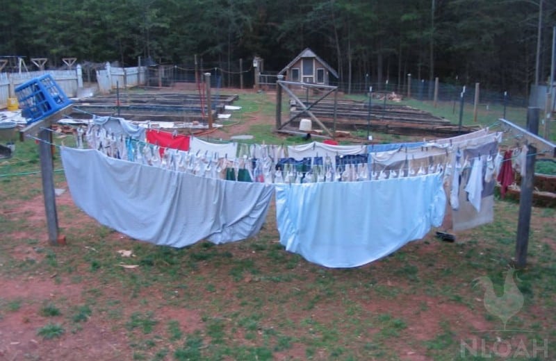 clothes hanging out to dry