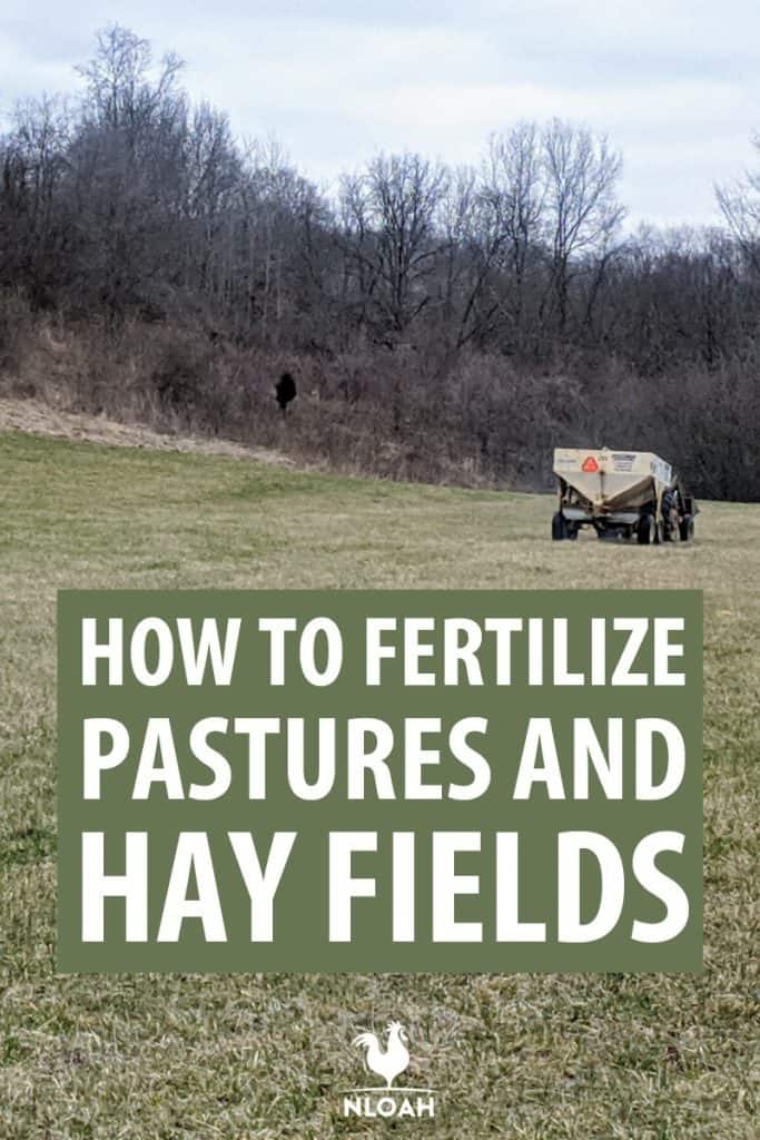 fertilizing pasture pins