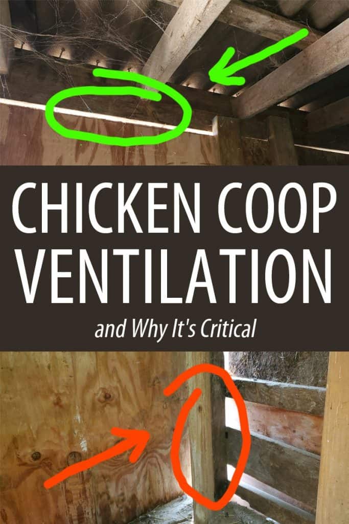 coop ventilation pinterest