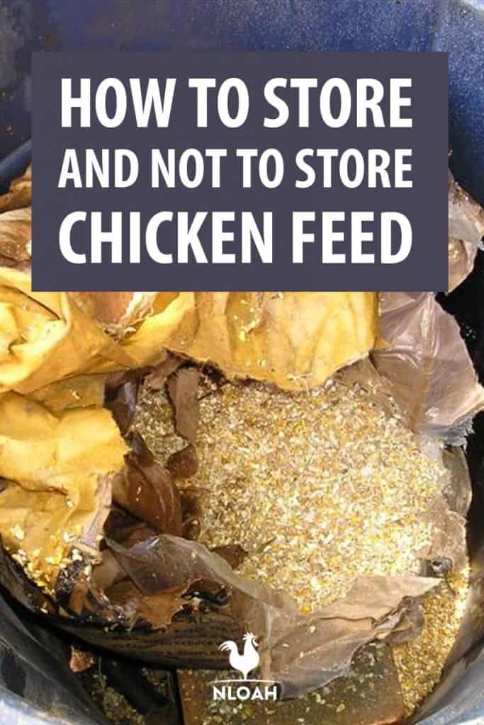 storing chicken feed pinterest