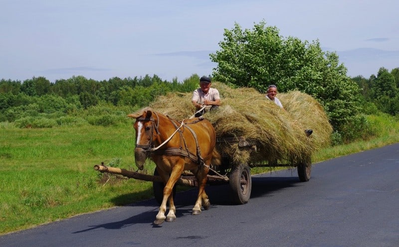 transporting loose hay
