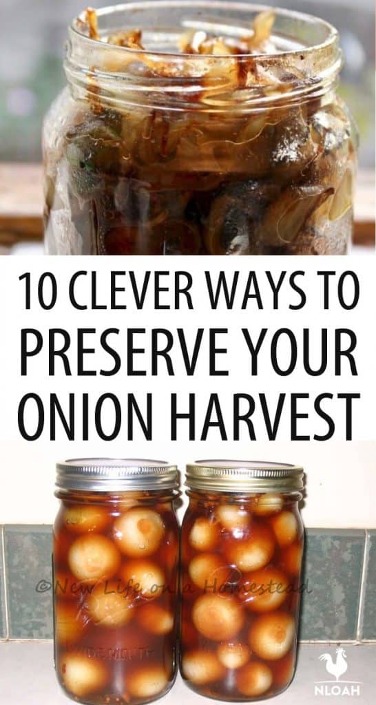 onions preservation Pinterest image