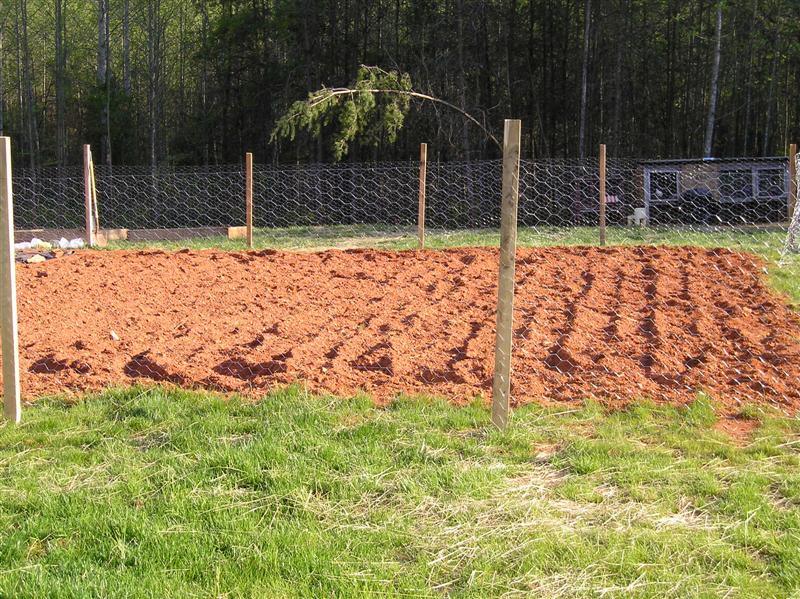 30 Clever And Inexpensive Garden Fencing Ideas New Life On A Homestead - Inexpensive Garden Fence