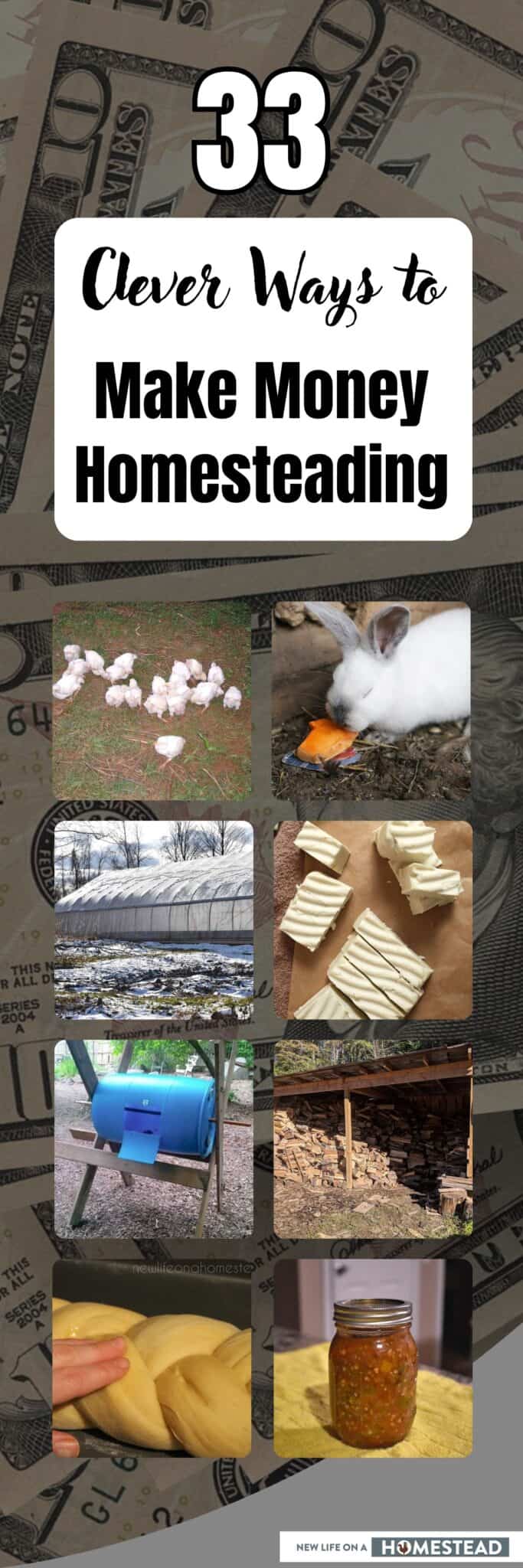 33 Clever Ways to Make Money Homesteading