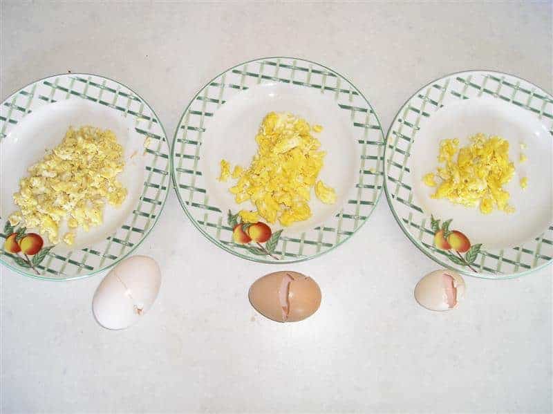 three scrambled eggs side by side
