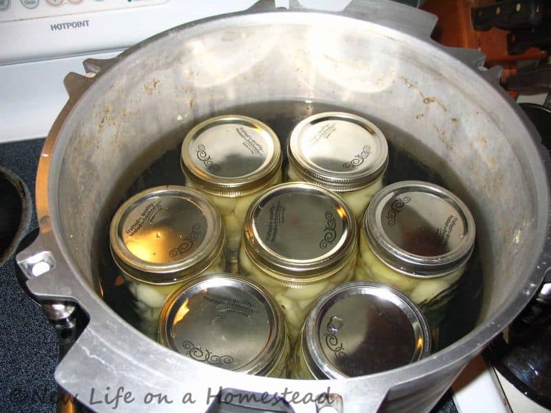 jars with potatoes in pressure canner