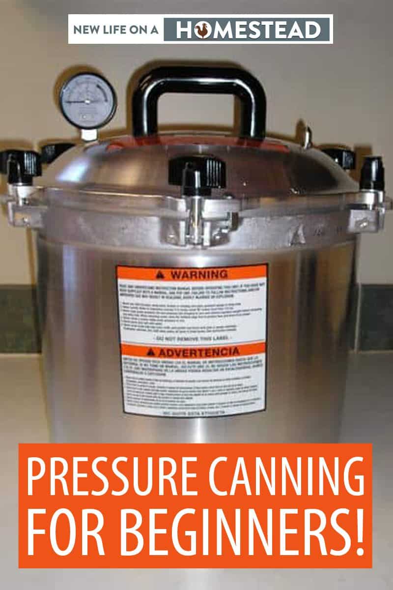 pressure canning 101 pinterest