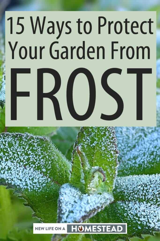 15 Ways to Protect Your Garden From Frost