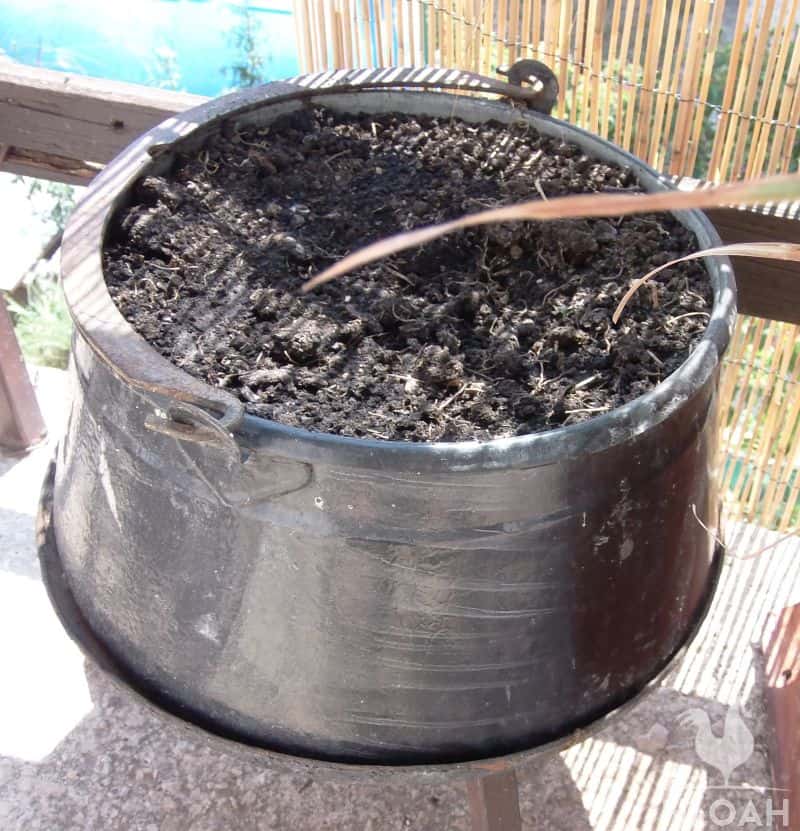 cooking pot repurposed as planter