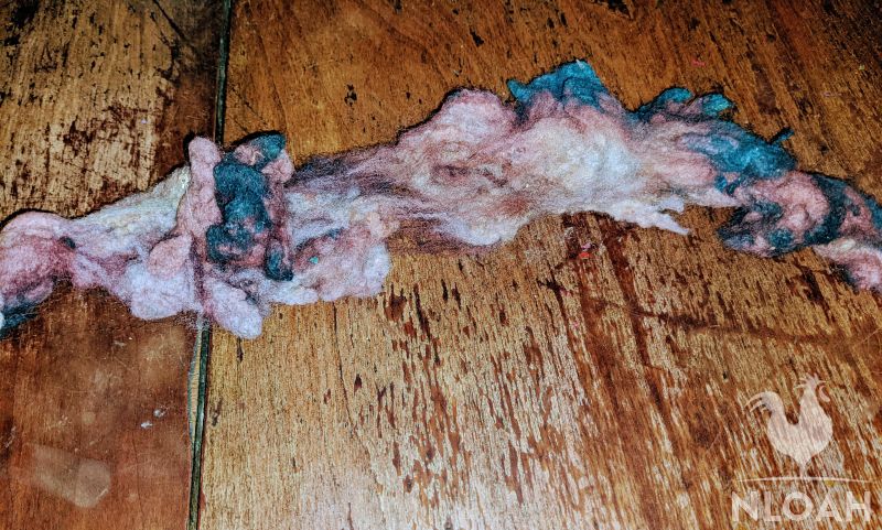 raw colored wool