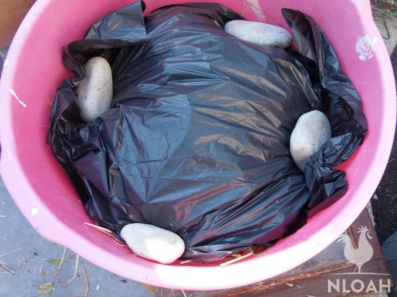 compost covered with plastic back inside bucket