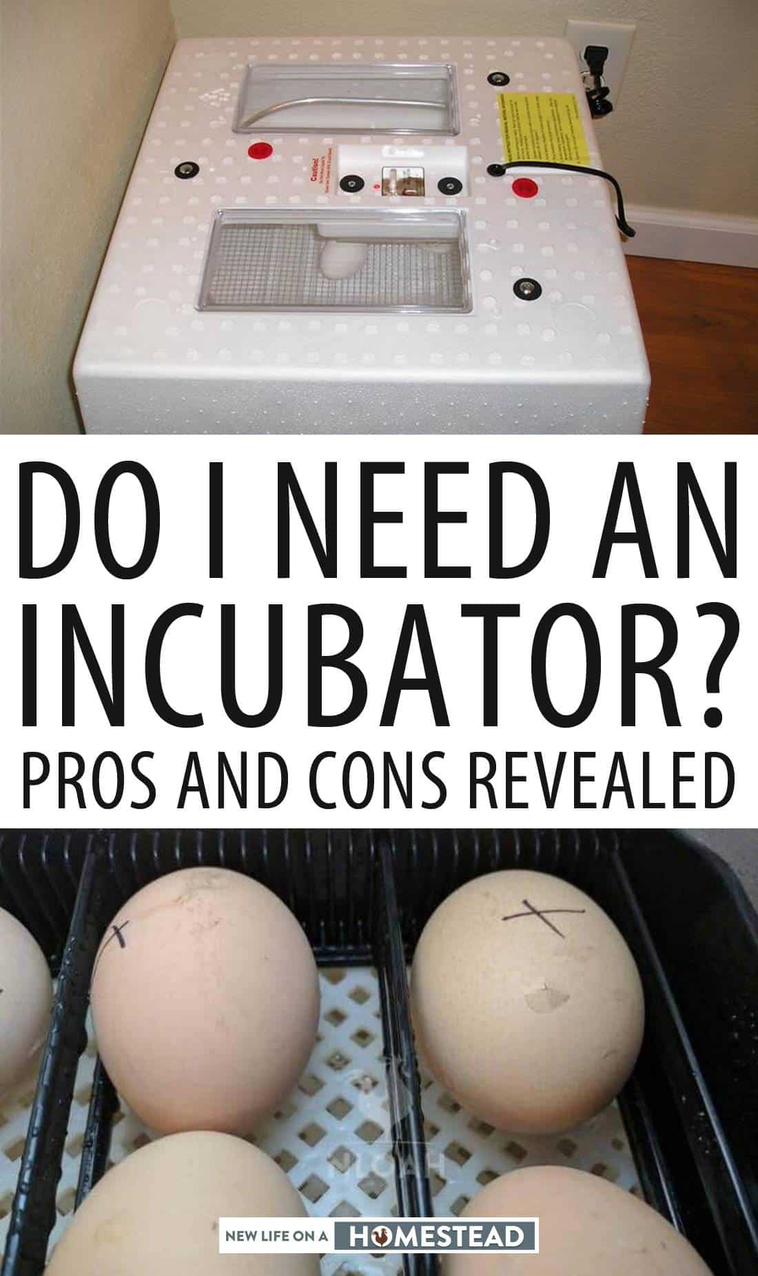 incubators pros and cons pinterest