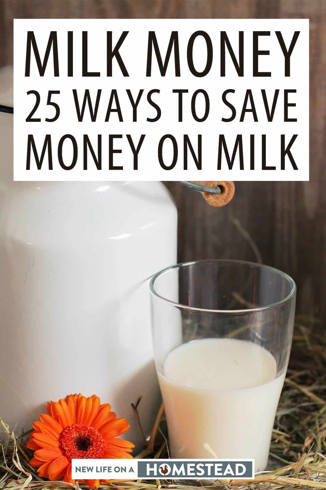 saving money on milk pinterest