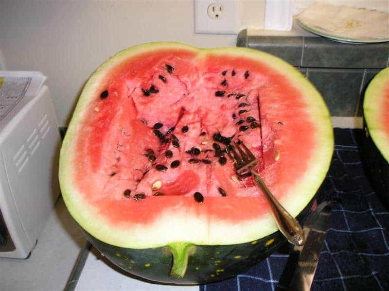 watermelon cut in half with fork inside