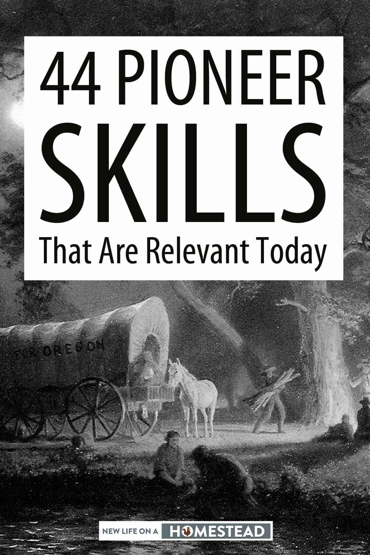 pioneer skills Pinterest image