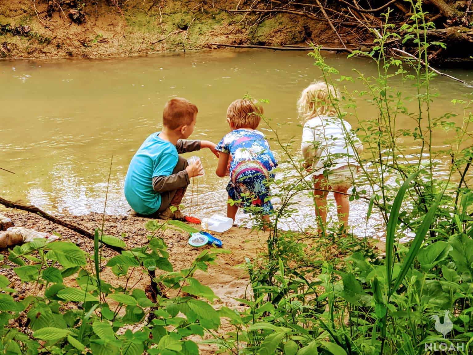 children play-learning near creek