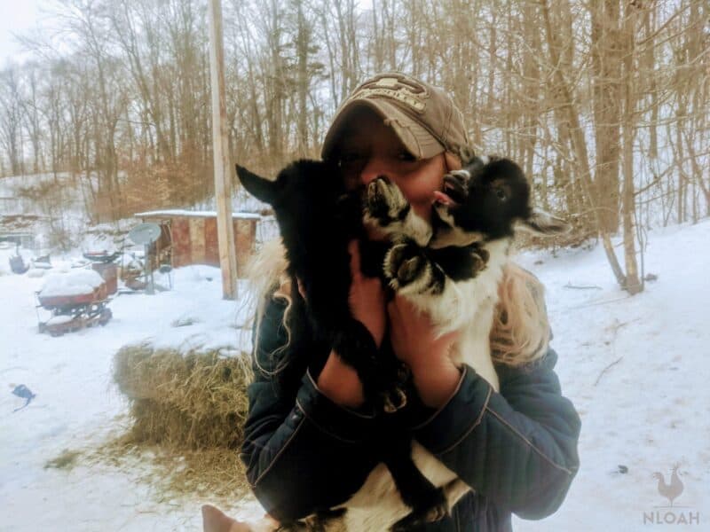 woman holding two baby goats