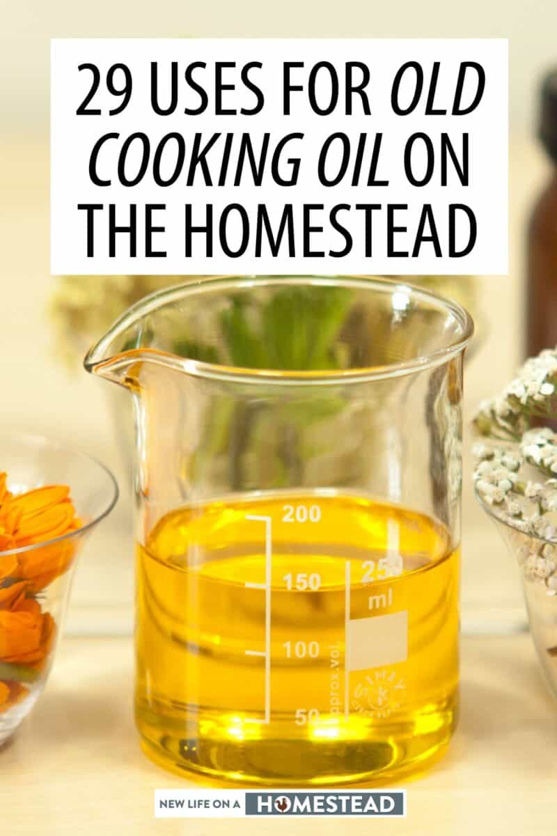 cooking oil uses pinterest