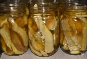 mushrooms in jars ready for canning