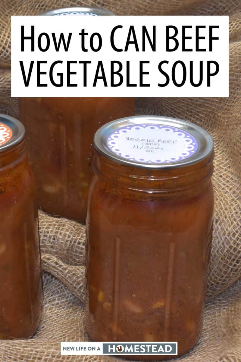 canned beef vegetable soup Pinterest image