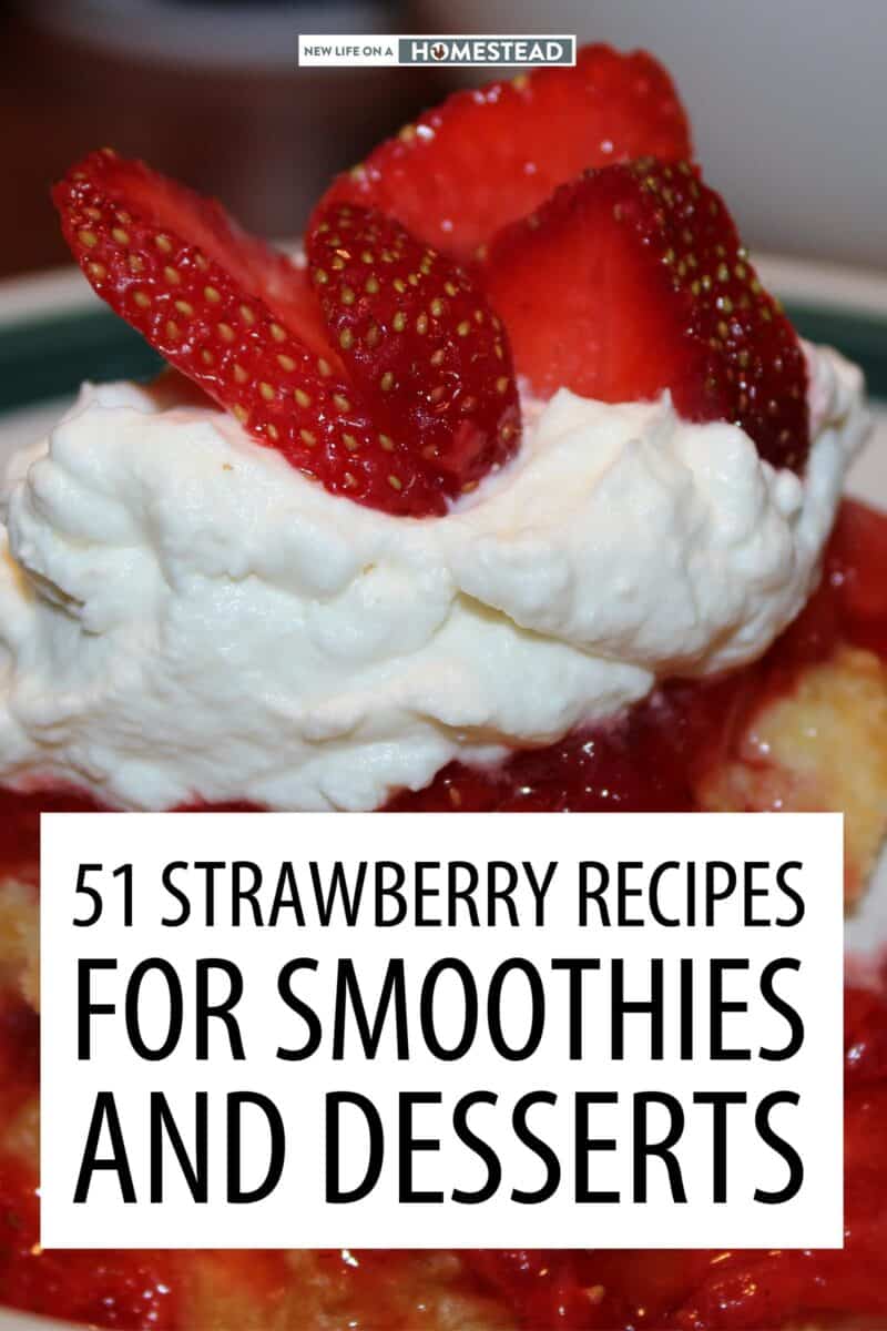 strawberry recipes pinterest