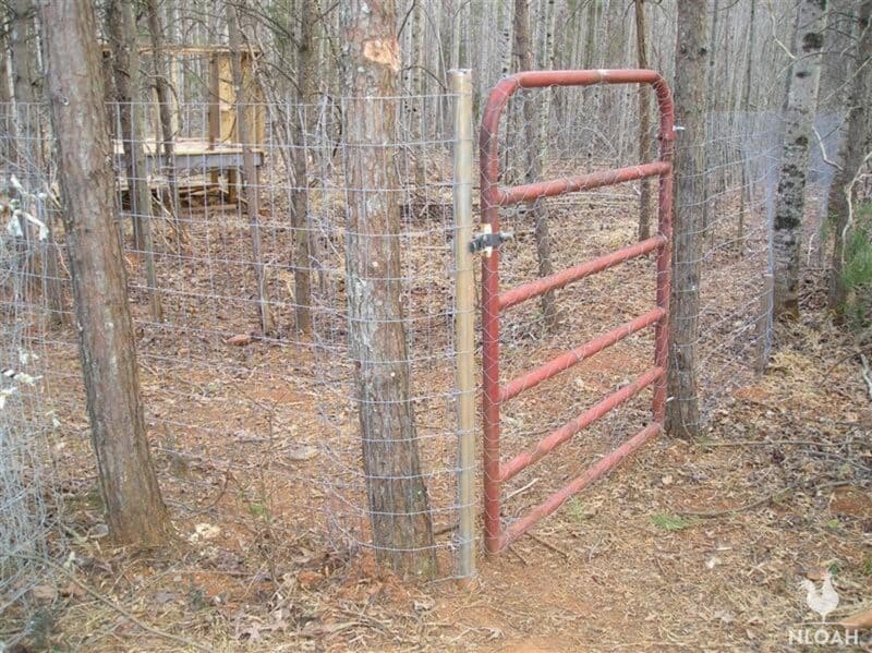 metal red gate at chicken run area