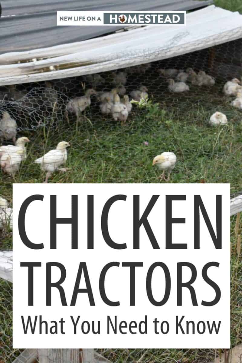 chicken tractors Pinterest image