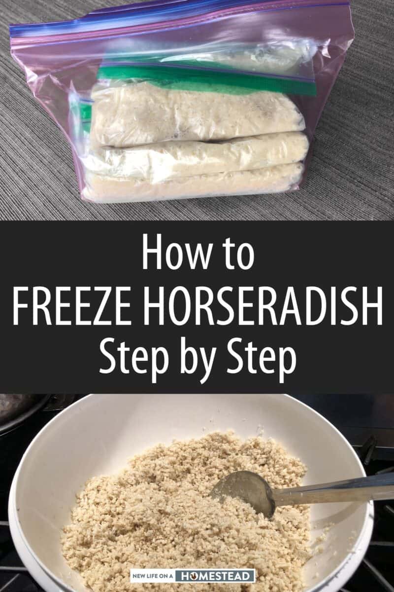 freezing horseradish Pinterest image