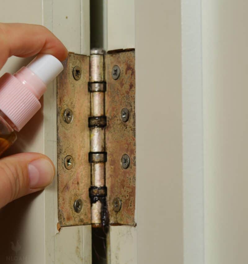 lubricating door hinge with cooking oil