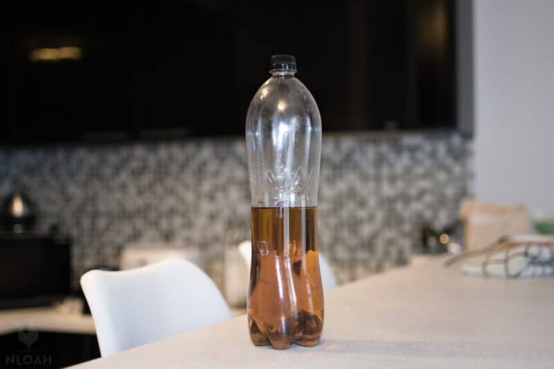 a plastic bottle of used cooking oil on kitchen counter