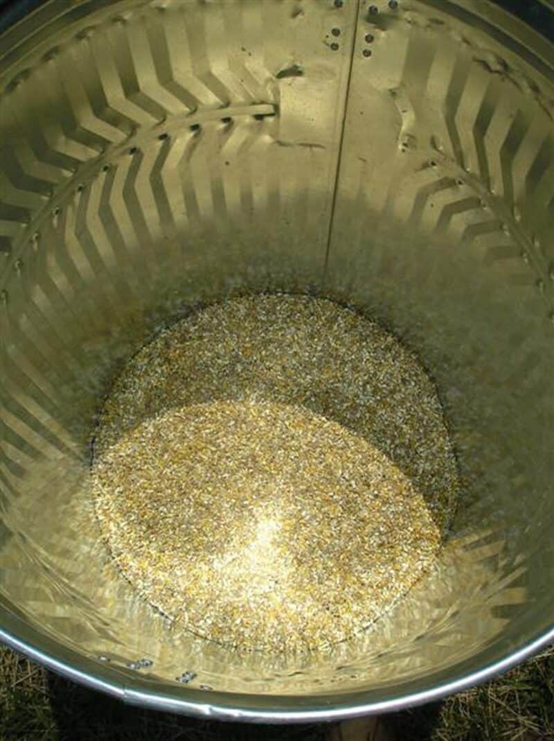 chicken feed inside metal can