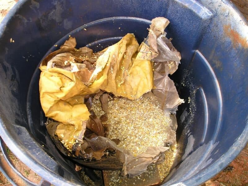 corn-based chicken feed in metal trash can