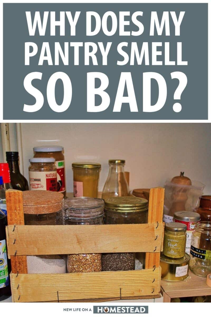 pantry smells bad pinterest