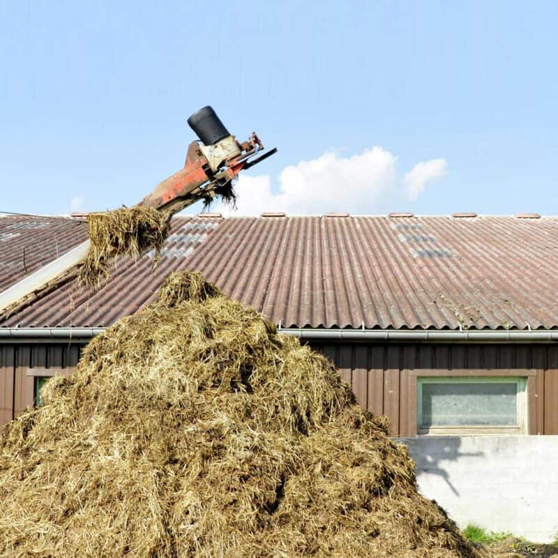a pile of cow dung next to a house