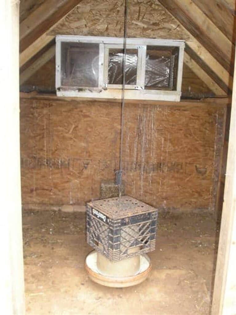 A Chicken Hospital Ward / Infirmary for Your Sick Chicks