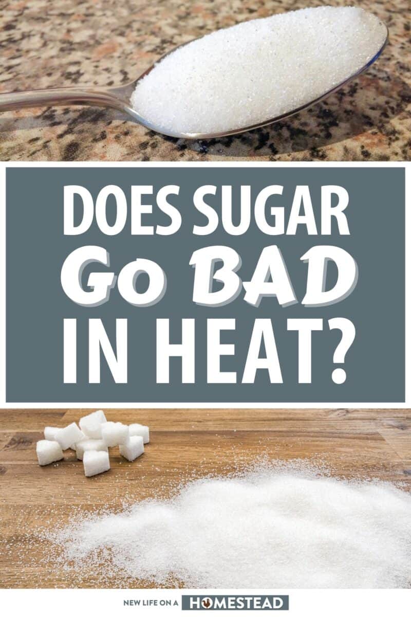 does sugar go bad in heat pinterest