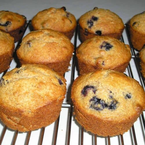 honey whole wheat blueberry muffins