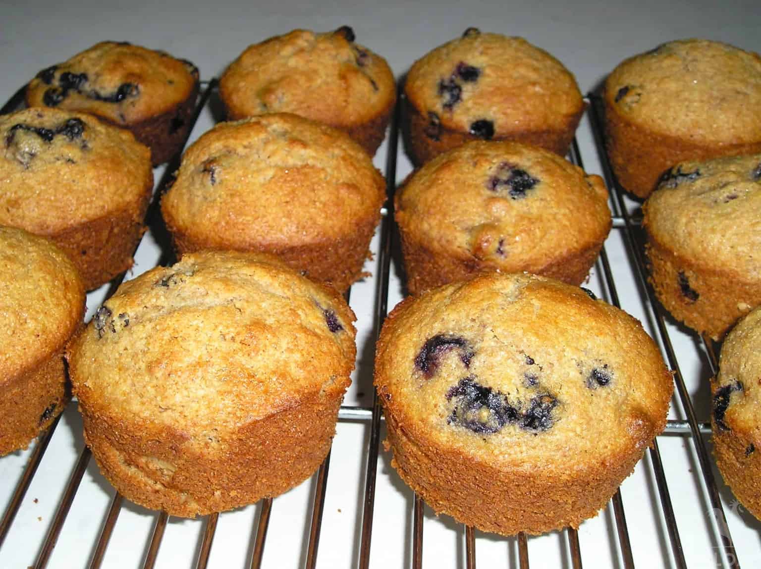 honey whole wheat blueberry muffins